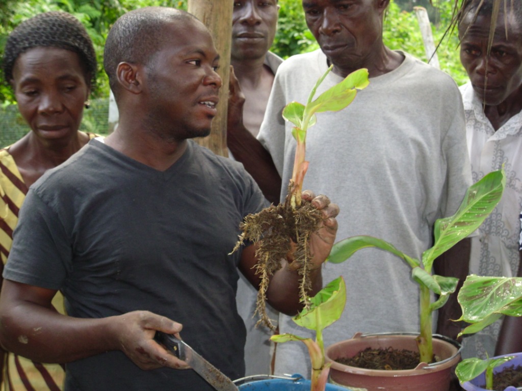 Demonstration of split bud technique to local smallholder farmers