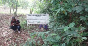 Read more about the article Montonnso Sacred Forest Conservation Project