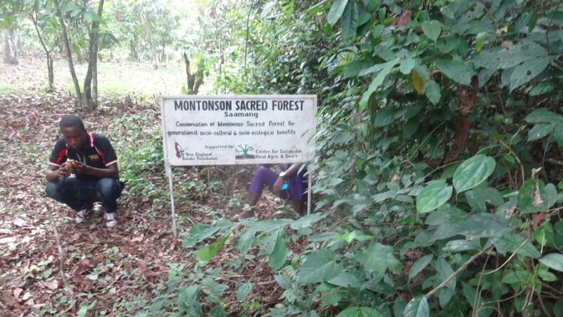 Montonnso Sacred Forest Conservation Project