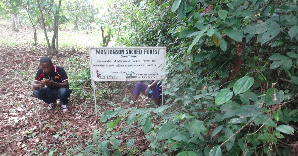 You are currently viewing Montonnso Sacred Forest Conservation Project