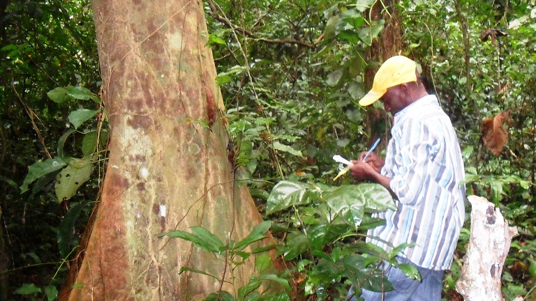 Collecting data on existing trees in Montonso Sacred Project